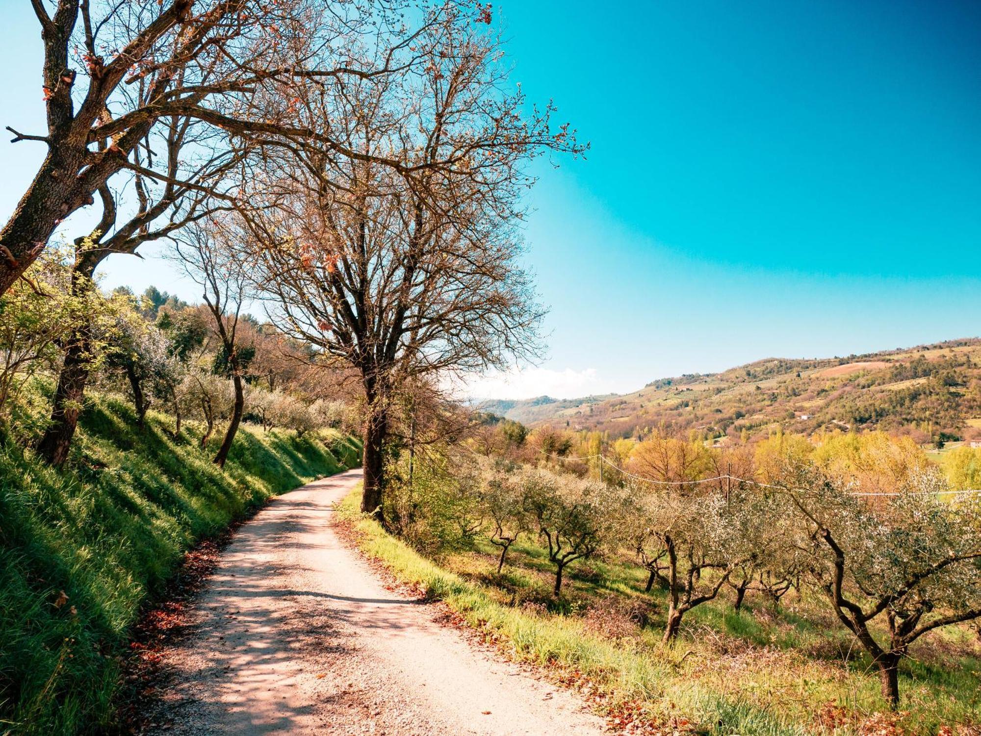 Ostello Bello Assisi Bevagna Ngoại thất bức ảnh